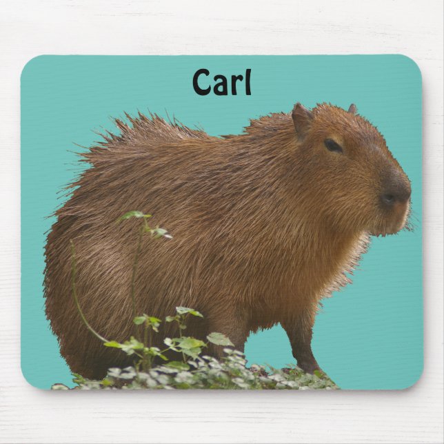 Capybara Mouse Pad (Front)