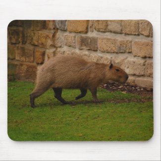 capybara mouse pad