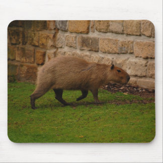 capybara mouse pad