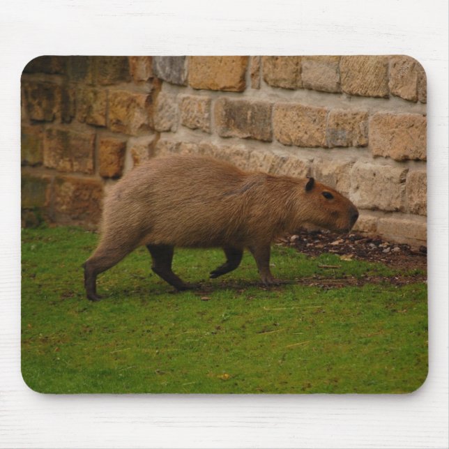 capybara mouse pad (Front)