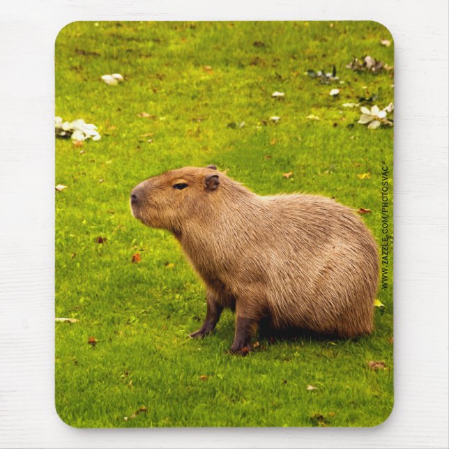 Capybara Mouse Pad (Front)