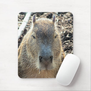 CAPYBARA MOUSE PAD