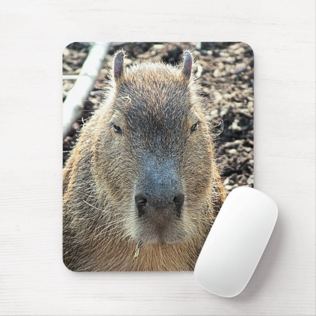 CAPYBARA MOUSE PAD (With Mouse)