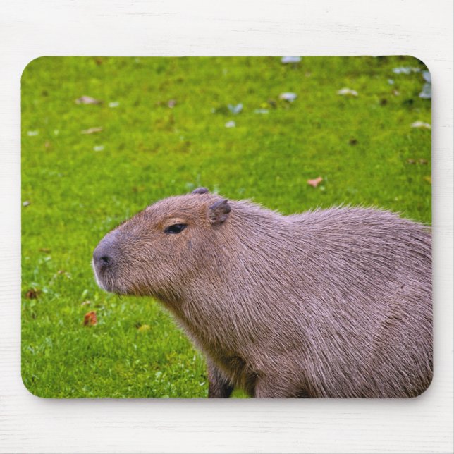 Capybara Mousepad (Front)