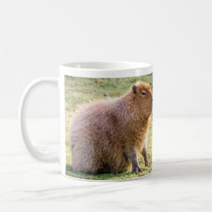 Capybara mug