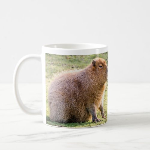 Capybara mug