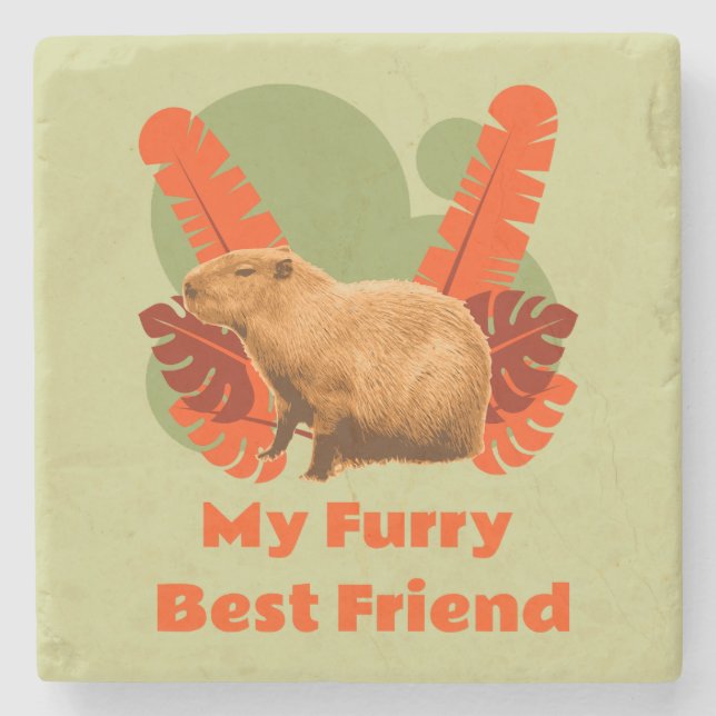 Capybara My Furry Best Friend Stone Coaster (Front)
