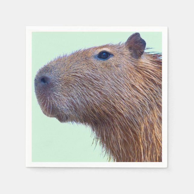 Capybara Napkins (Front)