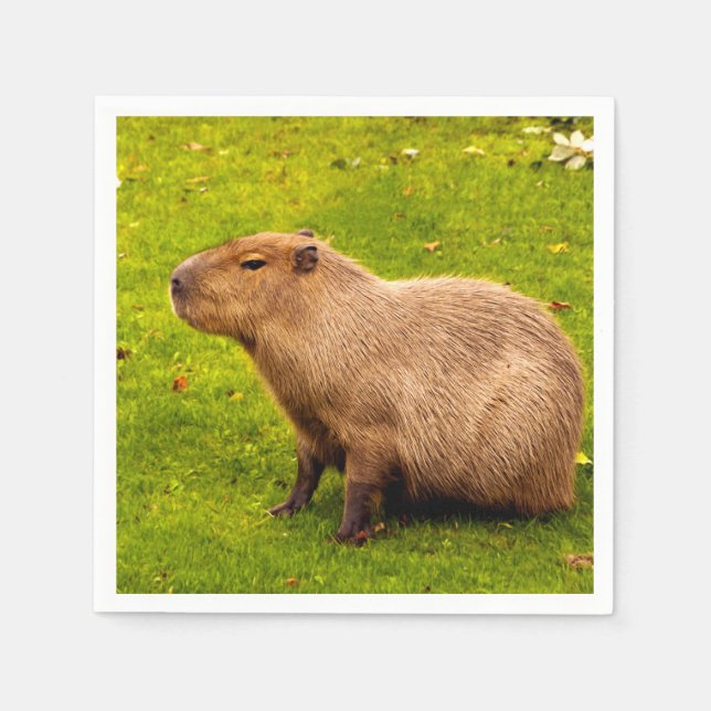Capybara Napkins (Front)