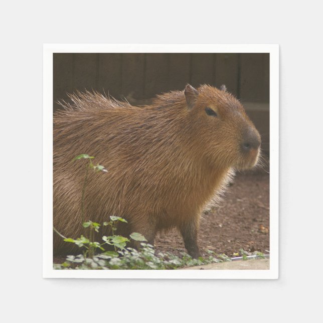 Capybara Napkins (Front)