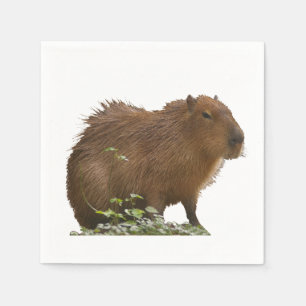 Capybara Napkins