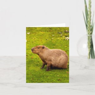 Capybara Note Card