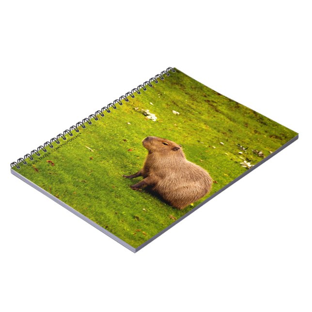 Capybara Notebook (Left Side)