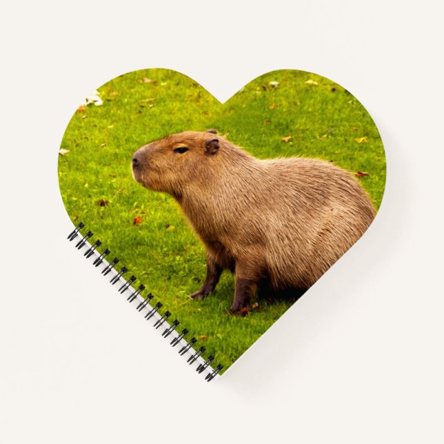 Capybara Notebook (Front)