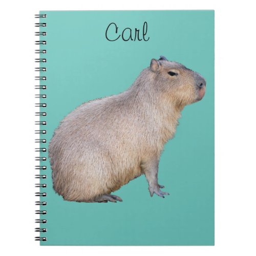 Capybara Notebook