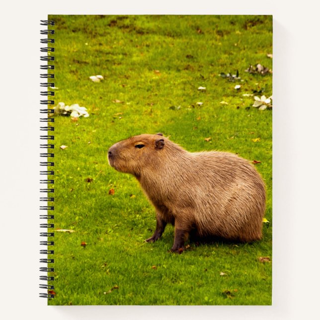 Capybara Notebook (Front)