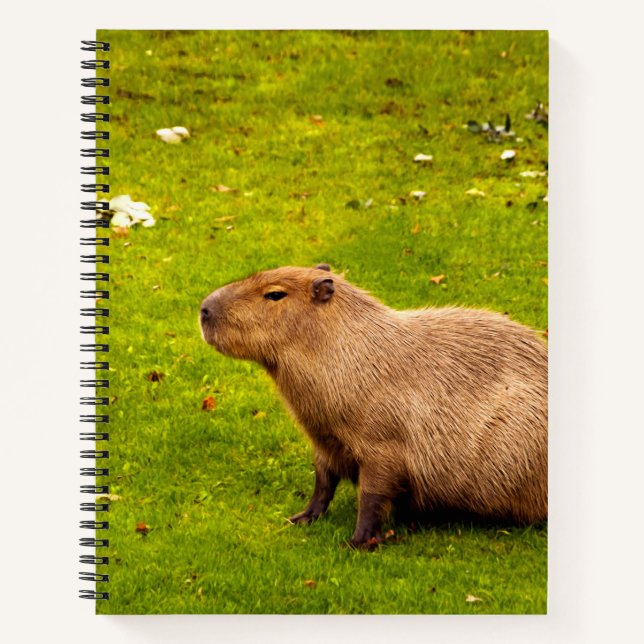 Capybara Notebook (Front)