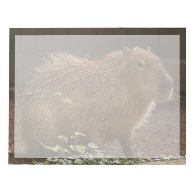 Capybara Notepad (Front)