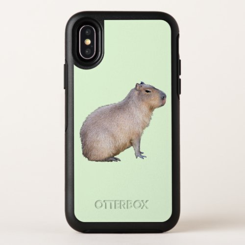 Capybara OtterBox Symmetry iPhone X Case