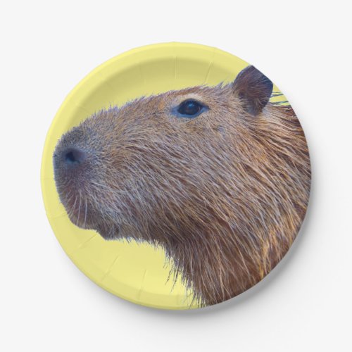 Capybara Paper Plates