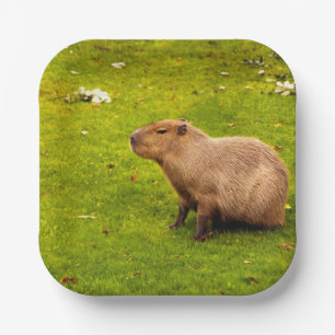 Capybara Paper Plates