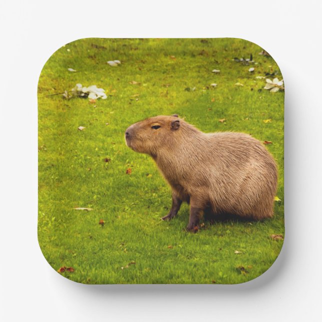 Capybara Paper Plates (Front)