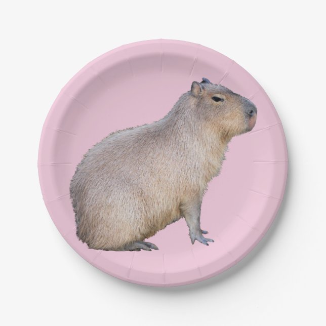Capybara Paper Plates (Front)