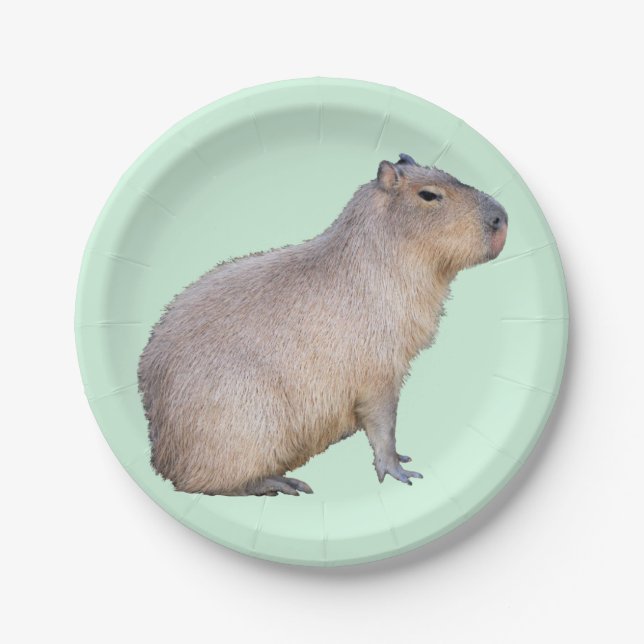 Capybara Paper Plates (Front)