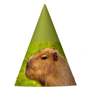 Capybara Party Hat