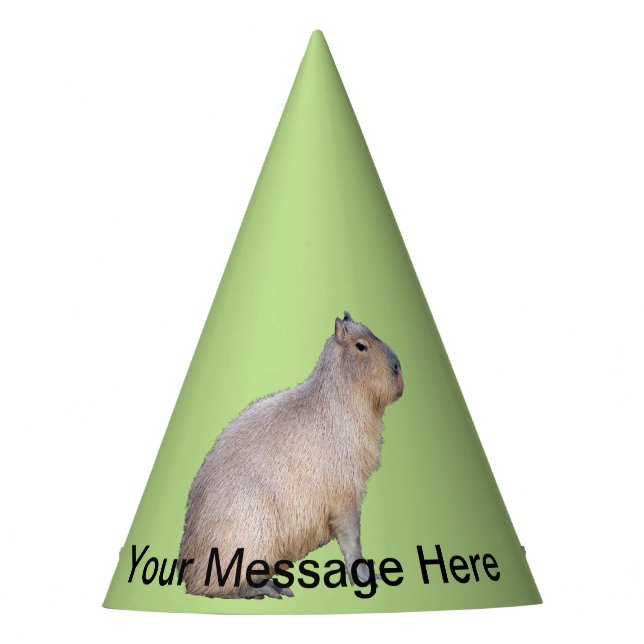 Capybara Party Hat (Front)