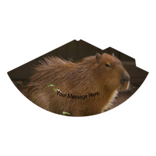 Capybara Party Hat
