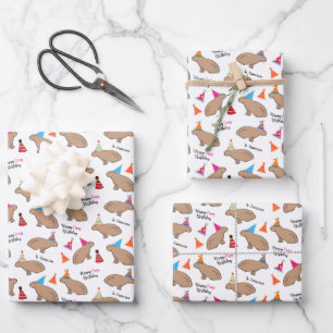 Capybara Personalized Kids Birthday White Wrapping Paper Sheets