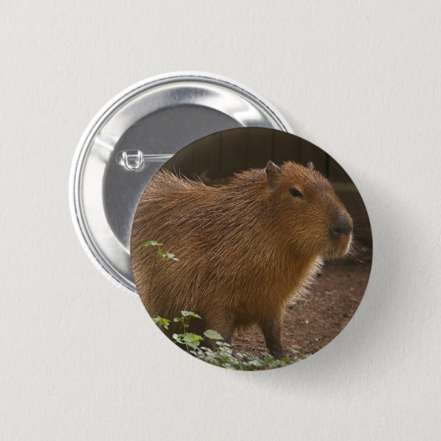 Capybara Pinback Button (Front & Back)