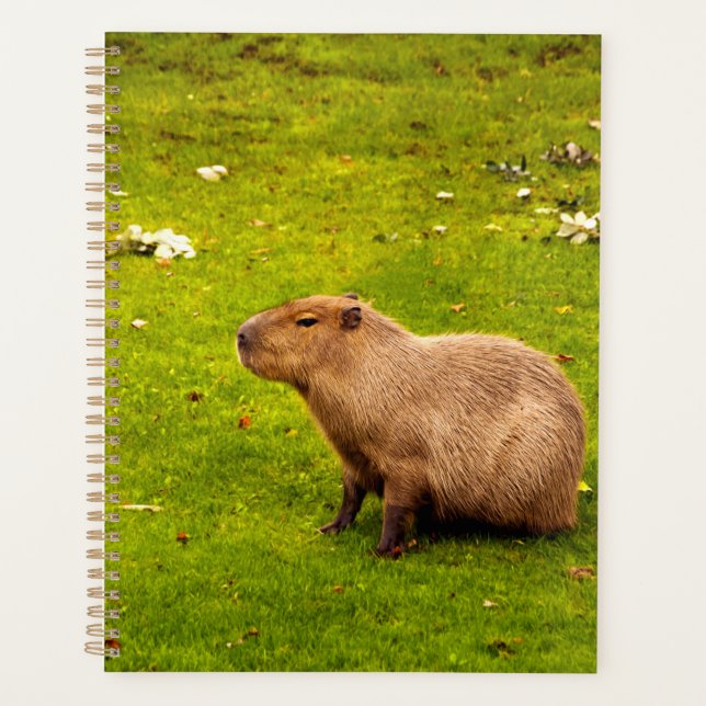Capybara Planner (Front)