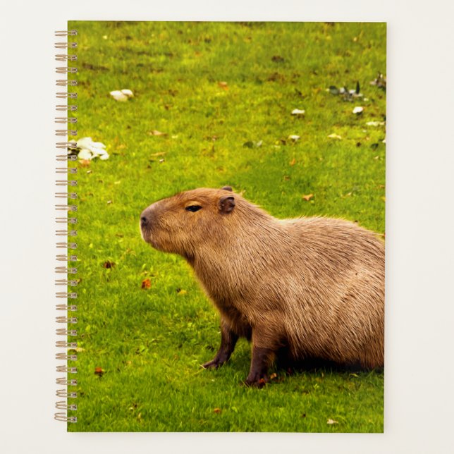 Capybara Planner (Front)