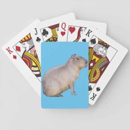 Capybara Playing Cards