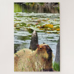 Capybara - Pneumatophores - Wildlife Jigsaw Puzzle