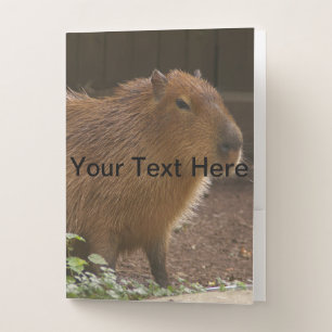 Capybara Pocket Folder