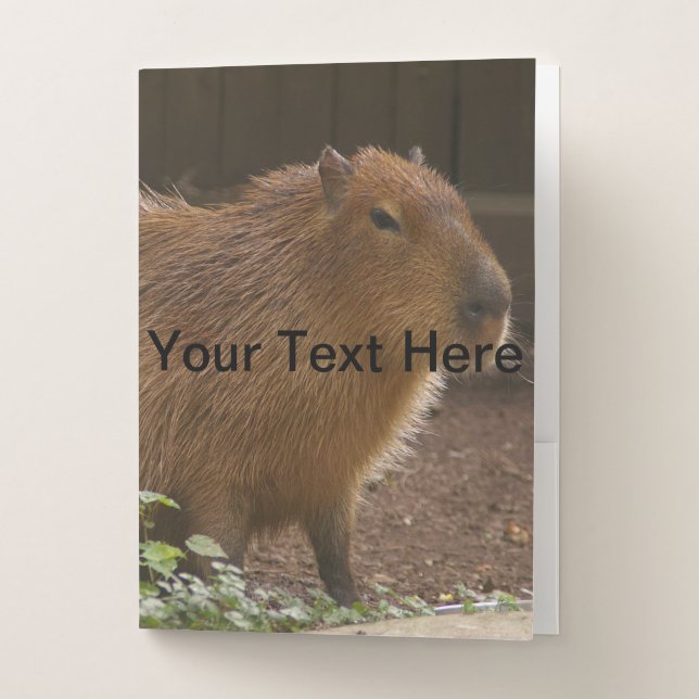 Capybara Pocket Folder (Front)