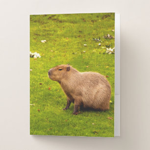 Capybara Pocket Folder
