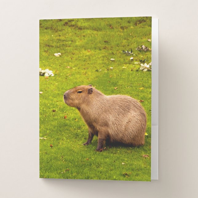 Capybara Pocket Folder (Front)