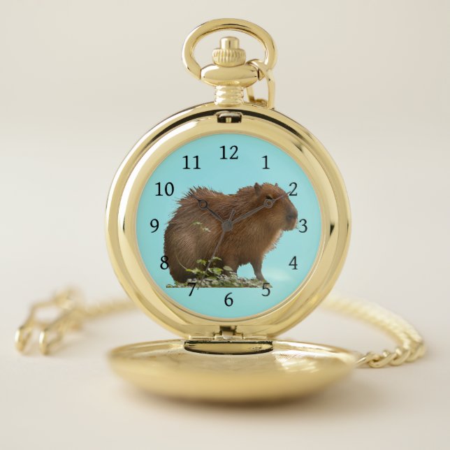 Capybara Pocket Watch (Inside)