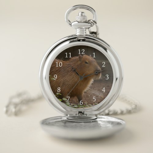 Capybara Pocket Watch