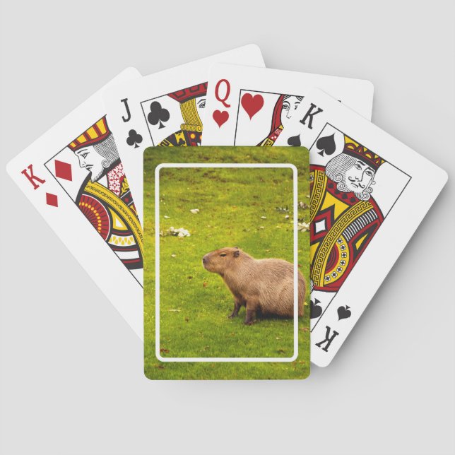 Capybara Poker Cards (Back)