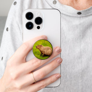 Capybara PopSocket