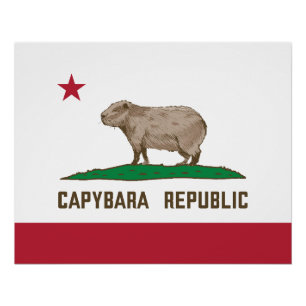 Capybara Republic Flag Poster