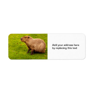 Capybara Return Address Labels