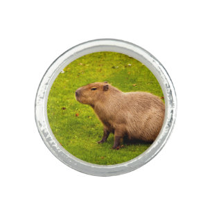 Capybara Ring