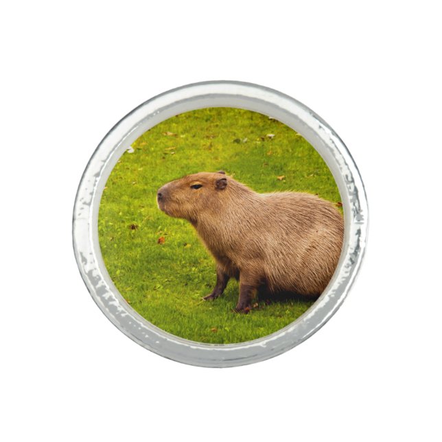 Capybara Ring (Front)