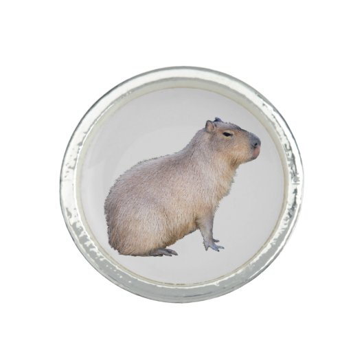 Capybara Ring (Front)